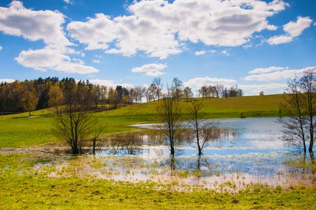 Meadow with lake in early autumn
