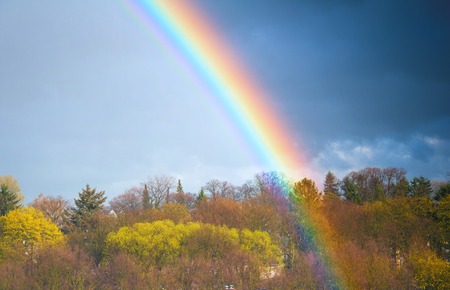 Rainbow over the forest in autumnの写真素材