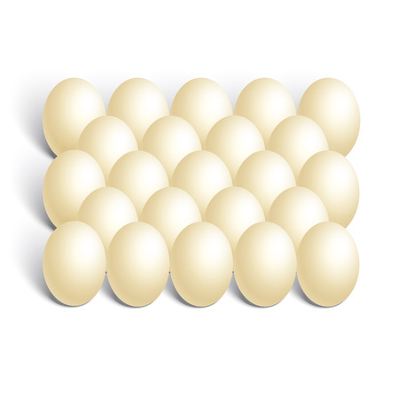 realistic chicken eggs on white backgroundのイラスト素材