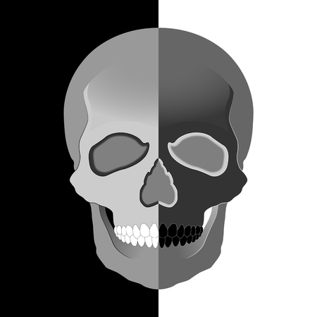 Vector skull illustration on a black and white backgroundのイラスト素材