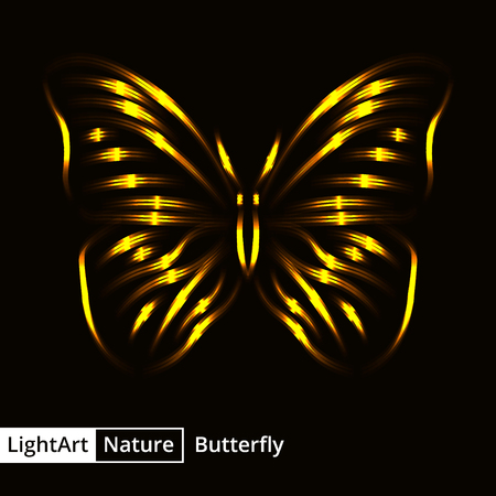 Butterfly silhouette of gold lights on black backgroundのイラスト素材