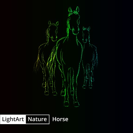 Horse silhouette of gradient lights on black backgroundのイラスト素材