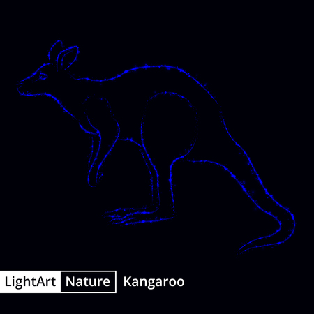 Kangaroo silhouette of navy lights on black backgroundのイラスト素材