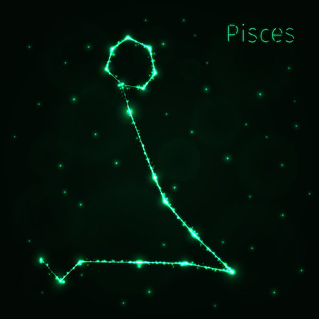 Pisces silhouette of lightsのイラスト素材