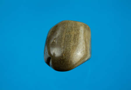 Petrified wood is the name given to a special type of fossilized remains of terrestrial vegetation.