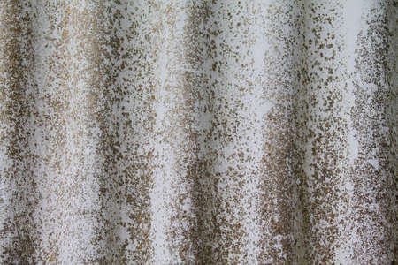 Texture of old weathered corrugated iron. You can see the age on the surface.の写真素材
