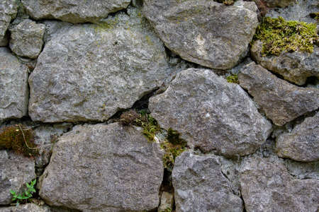 Texture natural stone wall overgrown with moss. Large and small stones form the wall.の写真素材