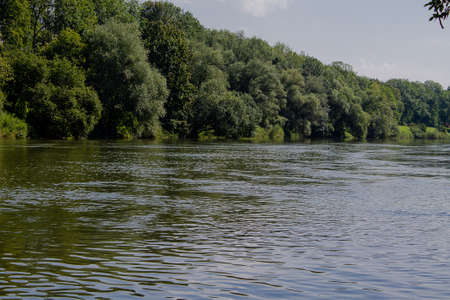An idyllic day on a river with an almost natural forest.