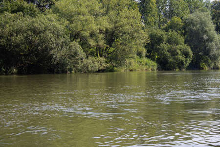 An idyllic day on a river with an almost natural forest.の写真素材