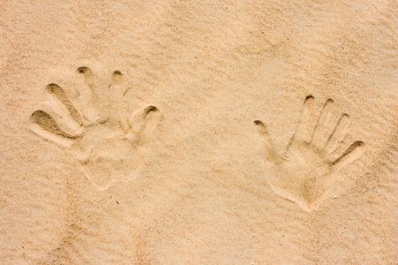 palm traces on sand の写真素材