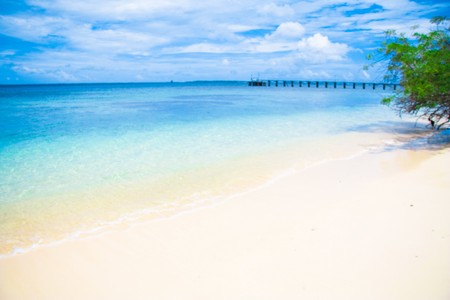 Heavenly white sand shoreの写真素材