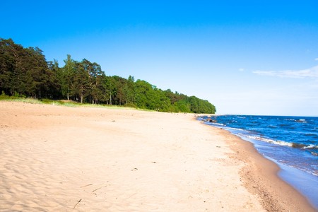 Sunny Shoreの写真素材