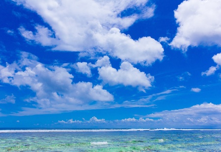 Wallpaper Paradise Tropical の写真素材