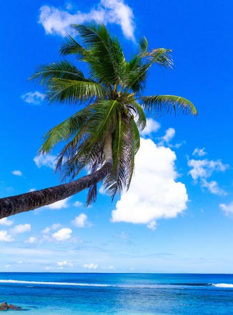 Scene Coast Heaven の写真素材