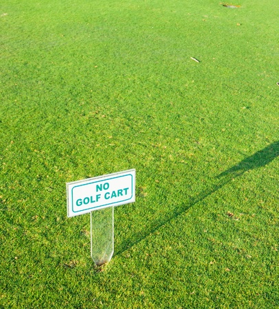 Tee Spot Landscape の写真素材