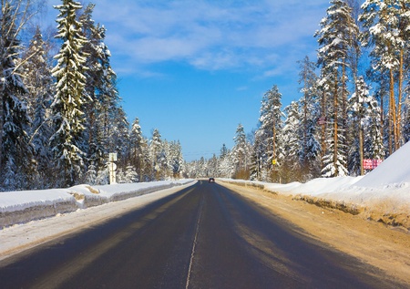 Forever Winter! 
