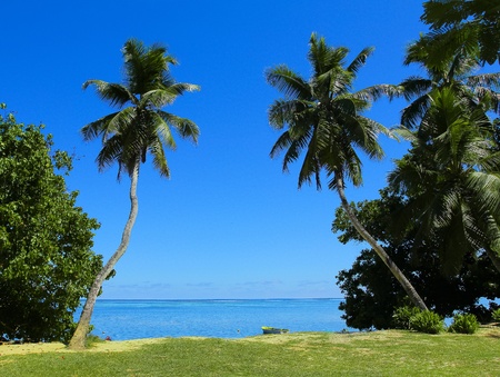 Lawn Grass Coast の写真素材