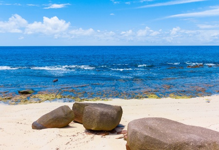 Seascape Beach Summer の写真素材