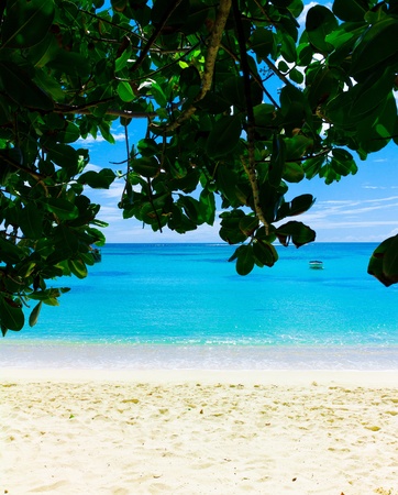 Closeup Exotic Sea の写真素材