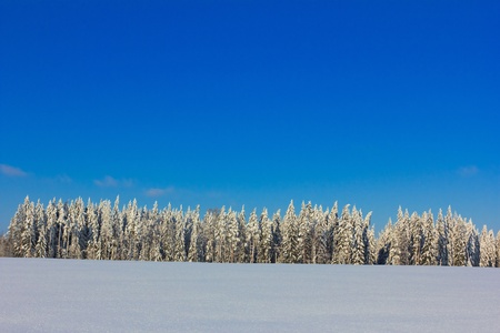 Midwinter Fairytale の写真素材