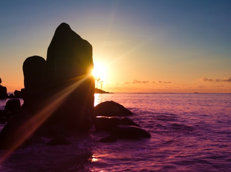 Backdrop Night Seascape 
