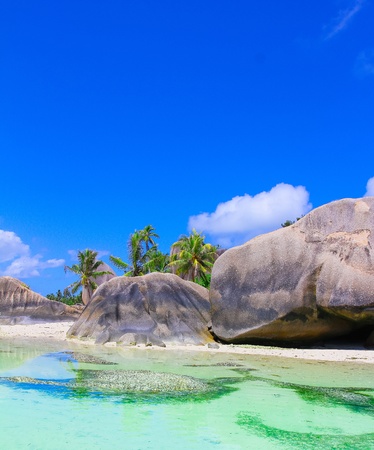 Beauty Nature Beach の写真素材