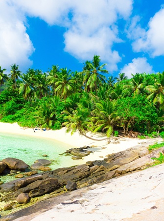 Sea Dream Palms の写真素材