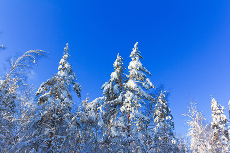 A Symphony of Coldの写真素材