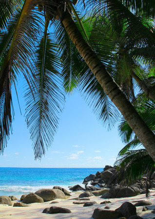 Beach Exotic Closeupの写真素材