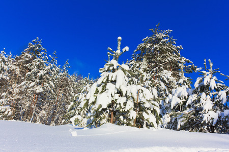 Shiny snowの写真素材