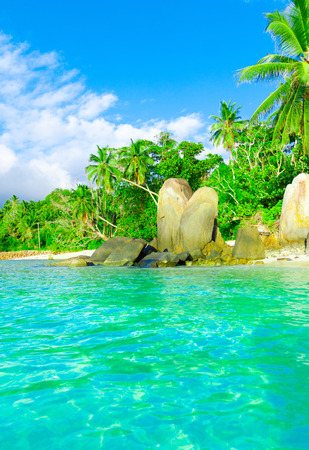Rocks Ocean Beachの写真素材