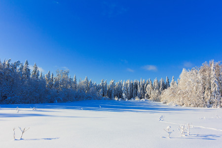 Hot Winter snowの写真素材