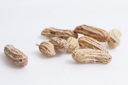 Beans Isolated-2の写真素材