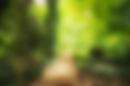 Way to green Blurredの写真素材
