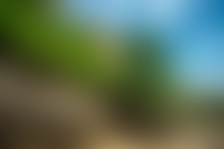 Blur natural backgroundの写真素材