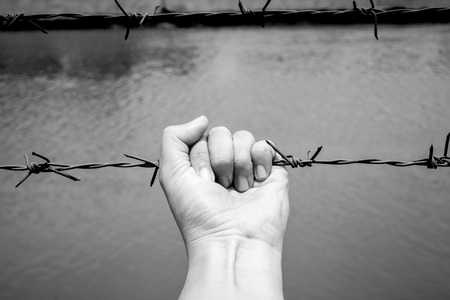 one hand with mesh wire fenceの写真素材