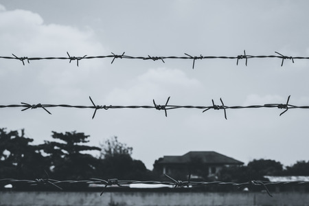 Wire fence backgroundの写真素材