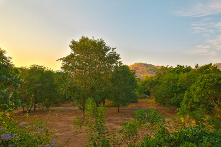 Morning with mountain and forest backgroundの写真素材