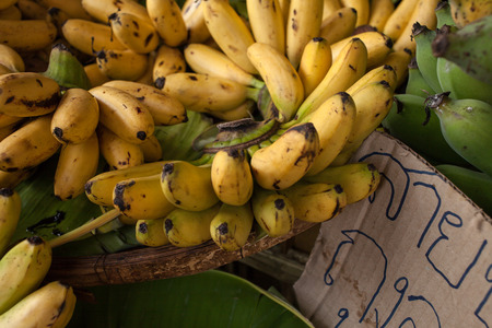 Green and yellow Bananas in Bangkok,Thailandの写真素材