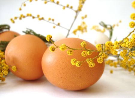 Orange easter eggs and yellow spring flowers の写真素材