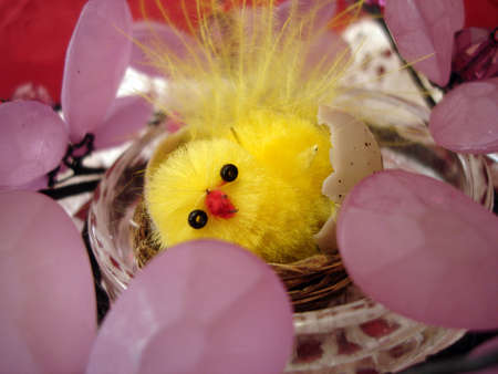 yellow chicken on basket with egg の写真素材