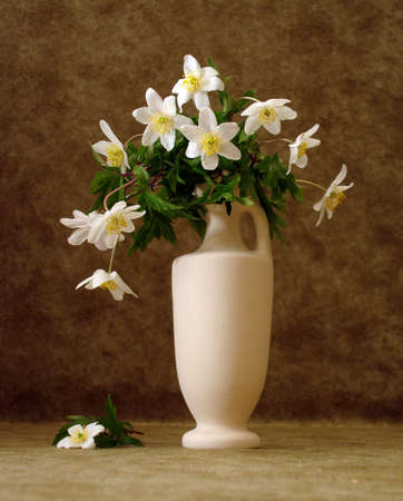 white flowers in vase over brown background の写真素材
