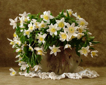 white flowers in vase over brown background の写真素材