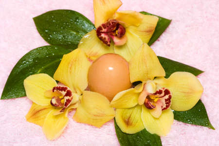 easter egg with yellow orchids の写真素材