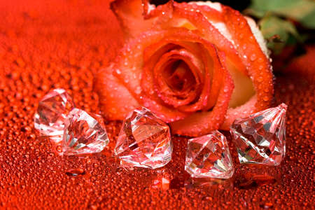 red rose and diamond crystals with water droplets の写真素材