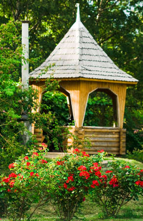 bushes of roses with arbour in a park の写真素材