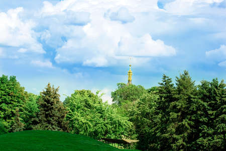 Park with trees and clouds on sky の写真素材