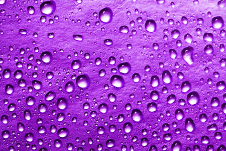 violet water drops for background の写真素材