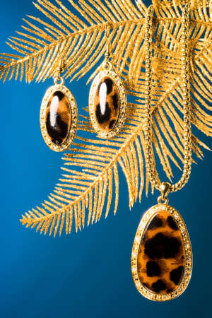 coulomb with beaded on dark background の写真素材