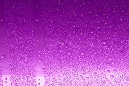 pink water drops for background の写真素材